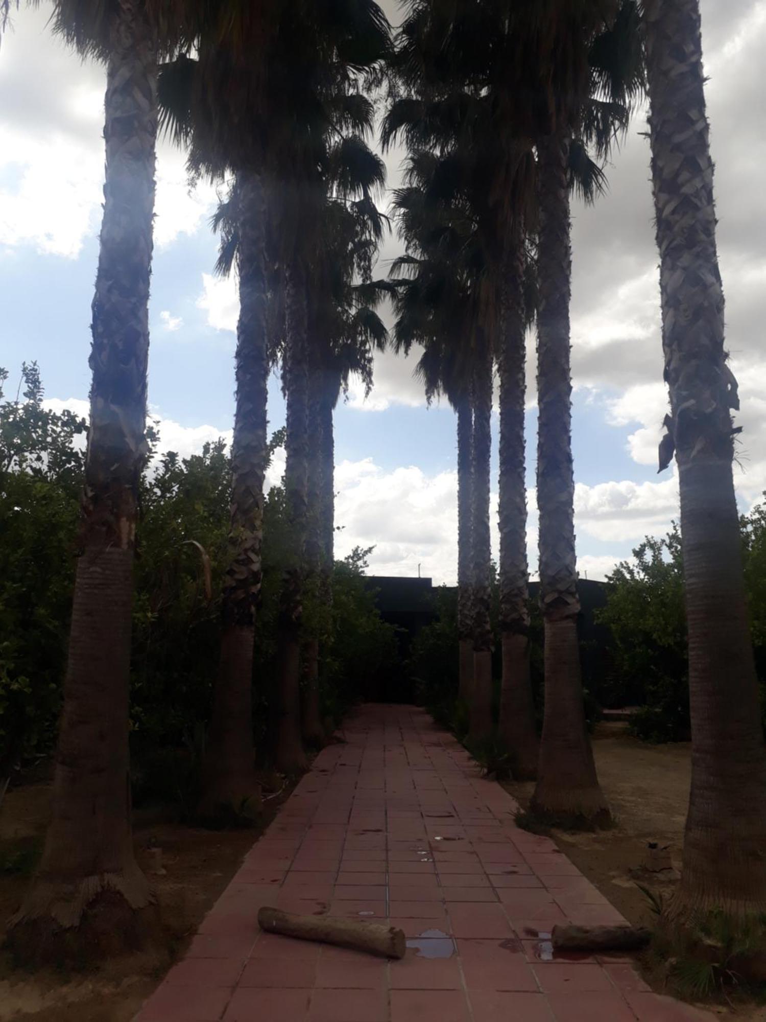 Dar Khedija Guest House El Kheriba Exterior photo